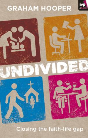 Cover of the book Undivided by Linda Marshall