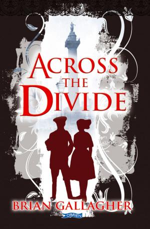 Cover of the book Across the Divide by Gearóid Ó hAllmhuráin
