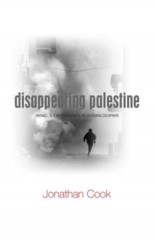 Cover of the book Disappearing Palestine by 