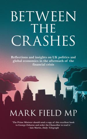 bigCover of the book Between the Crashes by 