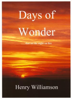 Cover of the book Days of Wonder: Contributions to the Daily Express, 1966-1971 by Richard Williamson