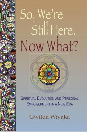 bigCover of the book So, We're Still Here, Now What? by 