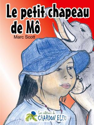 Book cover of Le petit chapeau de Mô