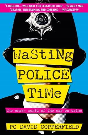 Cover of the book Wasting Police Time by Frank Chalk