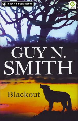 Cover of the book Blackout by Andy Love