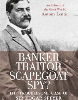 Cover of the book Banker, Traitor, Scapegoat, Spy? by Christian Schünemann, Jelena Volic