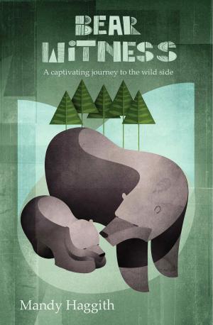 Cover of the book Bear Witness by Ian Stephen