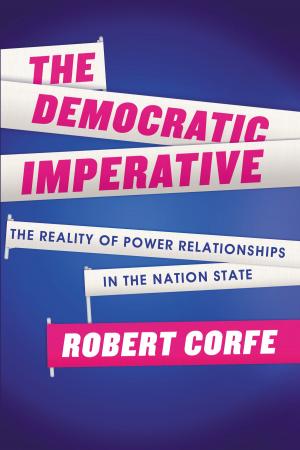 Cover of the book The Democratic Imperative by David Stephens