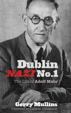 Book cover of Dublin Nazi No. 1