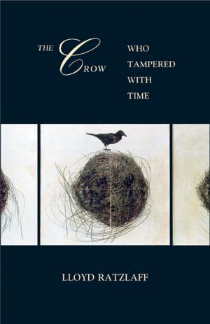 Book cover of The Crow Who Tampered With Time