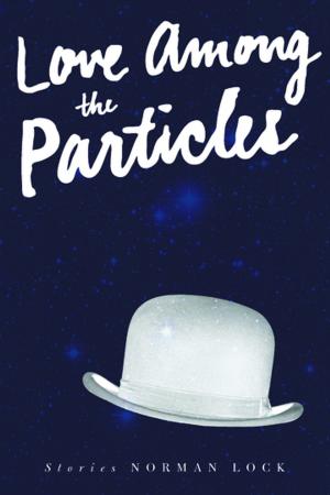 Cover of the book Love Among the Particles by Cormac James