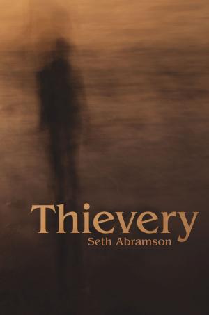 bigCover of the book Thievery by 