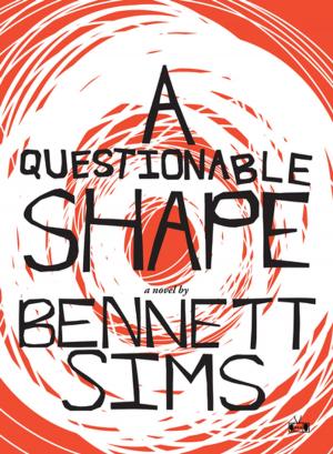 Cover of the book A Questionable Shape by Melanie Finn