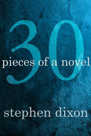 Book cover of 30 Pieces of a Novel