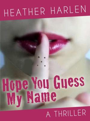 Book cover of HOPE YOU GUESS MY NAME