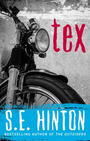Cover of the book Tex by Clare McNally