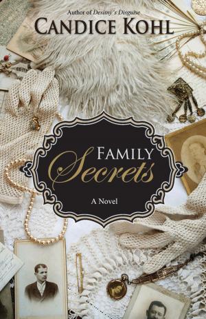 Cover of the book Family Secrets by Diane R Jewkes