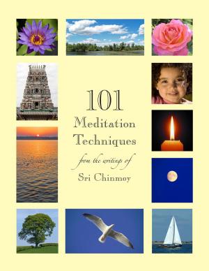 Cover of the book 101 Meditation Techniques by Sri Chinmoy