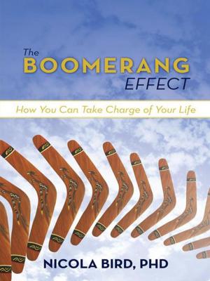 Cover of the book The Boomerang Effect by Ron Harrysson Sunhauke