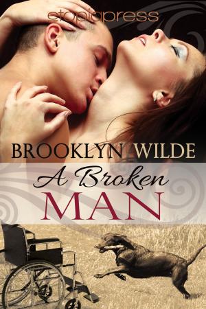 Cover of the book A Broken Man by Zoey Thames