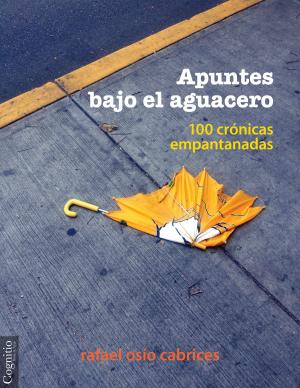 Cover of the book Apuntes bajo el aguacero by Pedro Luis Rodríguez Sosa, Luis Roberto Rodríguez Pardo