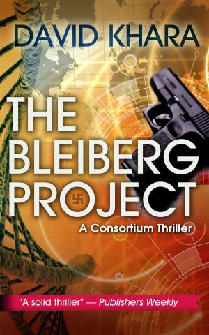 Cover of the book The Bleiberg Project by David Khara