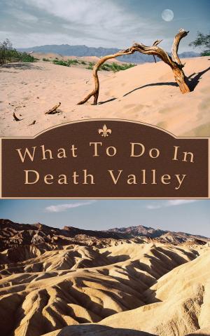 Cover of the book What To Do In Death Valley by Richard Hauser