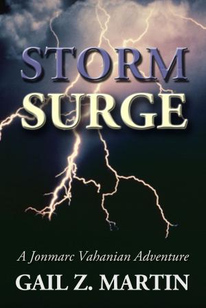 Cover of the book Storm Surge by Gail Z. Martin