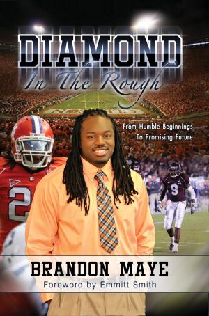 Cover of the book Diamond in the Rough by Christ Lewis