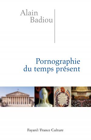 Cover of the book Pornographie du temps présent by Vincent Ravalec