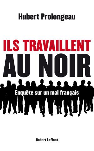 Cover of the book Ils travaillent au noir by Alain TOURAINE