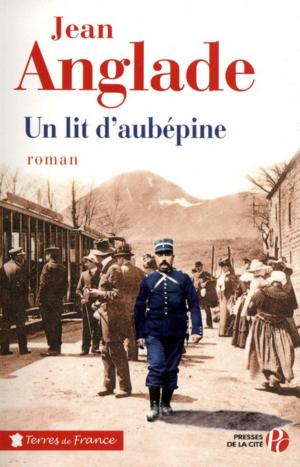 Cover of the book Un lit d'aubépine by Eric LE NABOUR