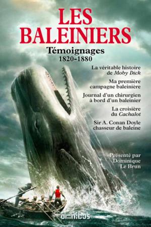 Cover of the book Les Baleiniers by Daniel CARIO