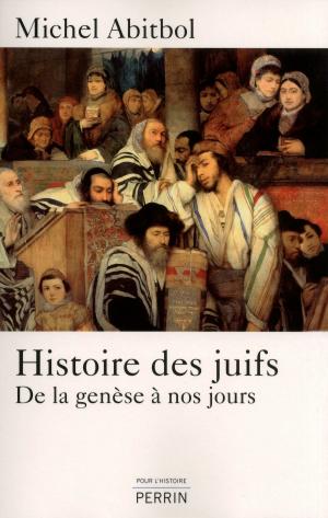 Cover of the book Histoire des juifs by Jean des CARS