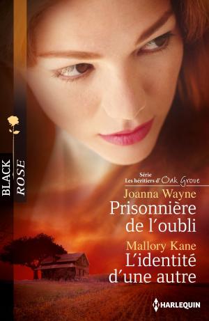 Cover of the book Prisonnière de l'oubli - L'identité d'une autre by Dee Holmes