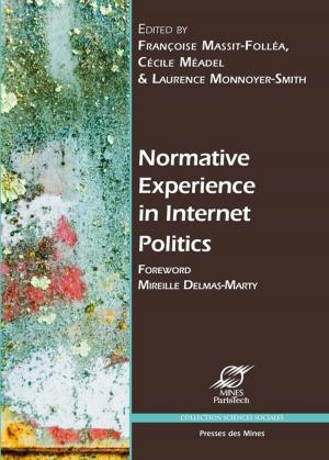 Cover of the book Normative Experience in Internet Politics by Collectif