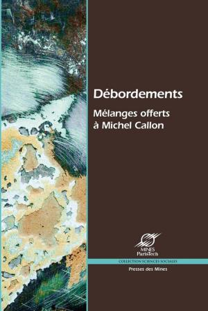 Cover of the book Débordements by Rebecca Pinheiro-Croisel