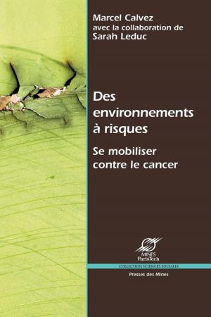 Cover of the book Des environnements à risques by Winston J. Maxwell