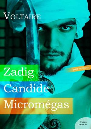 Book cover of Zadig, Candide, Micromégas