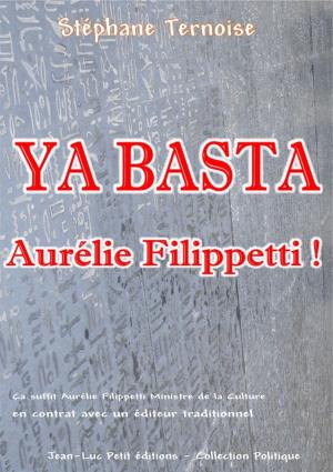 Cover of the book Ya basta Aurélie Filippetti ! by Stéphane Ternoise