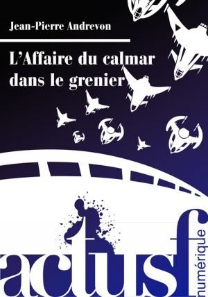Cover of the book L'Affaire du calmar dans le grenier by Sylvie Lainé