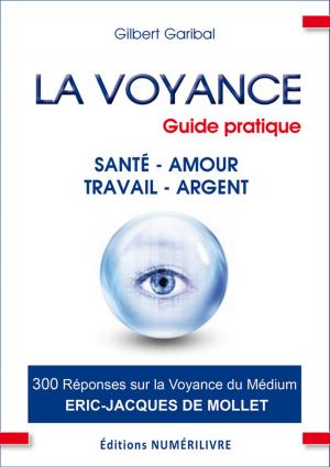 Book cover of La voyance guide pratique