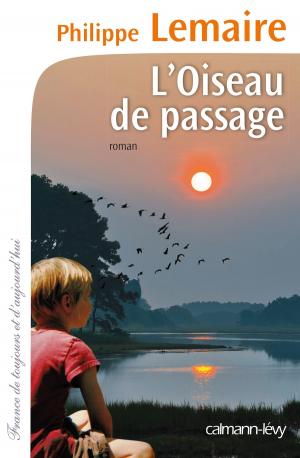 Cover of the book L'Oiseau de passage by Armelle Vincent, Juan Martin Guevara