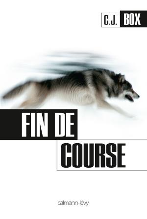 Cover of the book Fin de course by Marie-Bernadette Dupuy