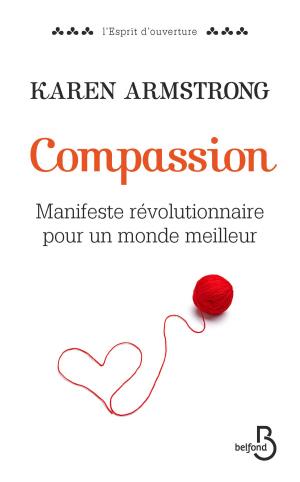 Cover of the book Compassion by Patrick BREUZE