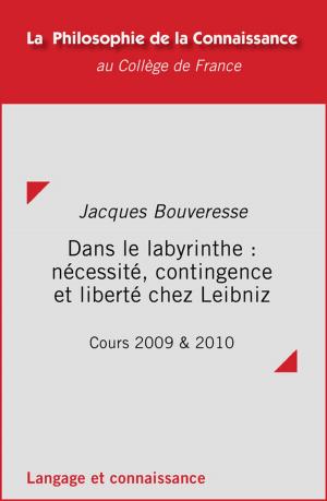 Cover of the book Dans le labyrinthe : nécessité, contingence et liberté chez Leibniz by Frantz Grenet