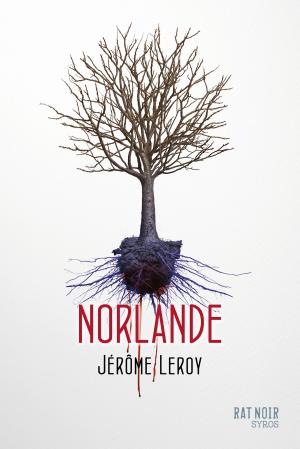 Cover of the book Norlande by Hubert Ben Kemoun