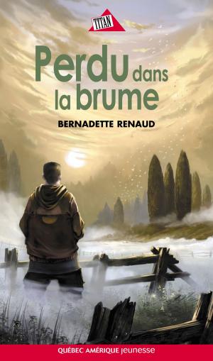 Cover of the book Perdu dans la brume by Nathalie Fredette