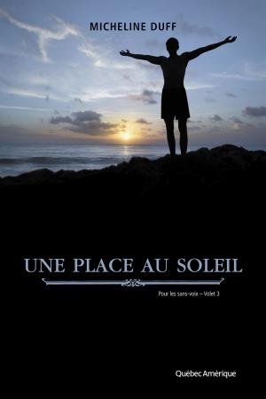 Cover of the book Une place au soleil by François Gravel, Pierre Pratt