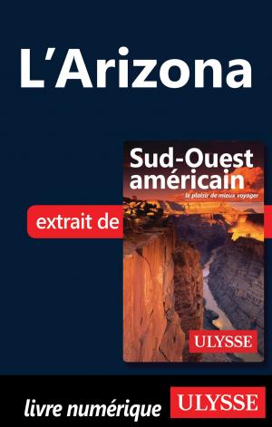 Cover of the book L’Arizona by Jérôme Delgado